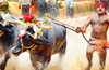Kambala racers to get insurance cover